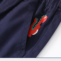 Load image into Gallery viewer, Kid Boys Dinosaur Animals Print Shorts Wholesale 220407240
