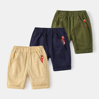 Load image into Gallery viewer, Kid Boys Dinosaur Animals Print Shorts Wholesale 220407240
