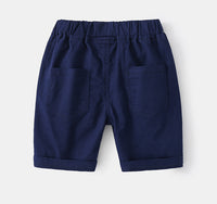 Load image into Gallery viewer, Kid Boys Letters Animals Cartoon Print Shorts Wholesale 220407256
