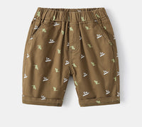 Load image into Gallery viewer, Kid Boys Letters Dinosaur Print Shorts Wholesale 220407265
