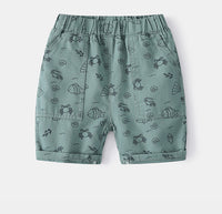 Load image into Gallery viewer, Baby Kid Boys Cartoon Print Shorts Wholesale 220407334
