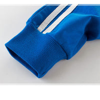 Load image into Gallery viewer, 2 Pieces Set Kid Big Kid Boys Striped Jackets Outwears And Pants Wholesale 22041118
