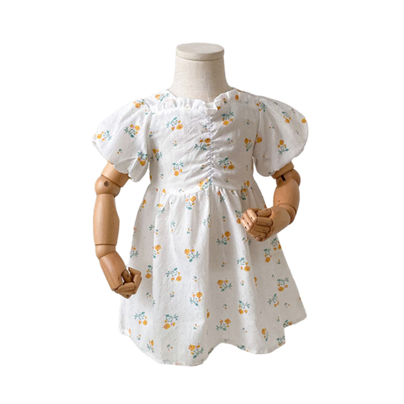 Baby Kid Girls Flower Print Dresses Wholesale 220411272