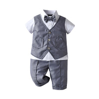 Load image into Gallery viewer, 3 Pieces Set Baby Kid Boys Dressy Solid Color Shirts Vests Waistcoats And Pants Wholesale 220411349
