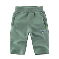 Load image into Gallery viewer, Baby Kid Boys Animals Print Pants Wholesale 22041160
