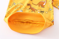 Load image into Gallery viewer, Baby Kid Boys Dinosaur Print Hoodies Swearshirts Wholesale 220412174
