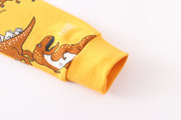 Load image into Gallery viewer, Baby Kid Boys Dinosaur Print Hoodies Swearshirts Wholesale 220412174
