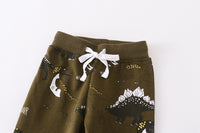 Load image into Gallery viewer, Baby Kid Boys Dinosaur Print Pants Wholesale 220412223
