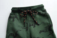 Load image into Gallery viewer, Baby Kid Boys Dinosaur Print Pants Wholesale 22041225

