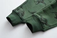Load image into Gallery viewer, Baby Kid Boys Dinosaur Print Pants Wholesale 22041225
