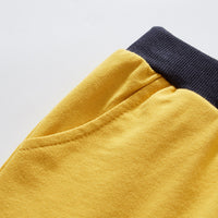 Load image into Gallery viewer, Baby Kid Boys Animals Cartoon Print Shorts Wholesale 220412252
