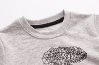 Load image into Gallery viewer, Baby Kid Boys Dinosaur Print Hoodies Swearshirts Wholesale 22041251
