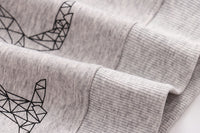 Load image into Gallery viewer, Baby Kid Boys Dinosaur Print Hoodies Swearshirts Wholesale 22041251
