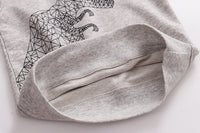 Load image into Gallery viewer, Baby Kid Boys Dinosaur Print Hoodies Swearshirts Wholesale 22041251
