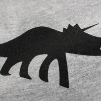 Load image into Gallery viewer, Baby Kid Boys Dinosaur Cartoon Print T-Shirts Wholesale 220414113
