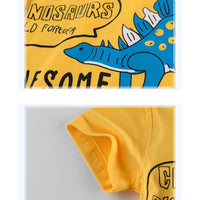 Load image into Gallery viewer, Baby Kid Boys Dinosaur Print T-Shirts Wholesale 220414118
