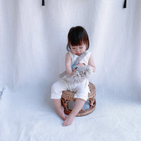 Load image into Gallery viewer, Baby Girls Boys Striped Rainbow Jumpsuits Wholesale 22041455
