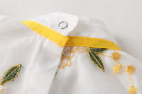 Load image into Gallery viewer, Baby Girls Flower Embroidered Rompers Wholesale 220422140
