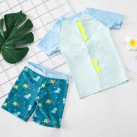 Load image into Gallery viewer, 3 Pieces Set Baby Kid Boys Beach Dinosaur Cartoon Print T-Shirts And Shorts And Hats Swimwears Wholesale 22042229
