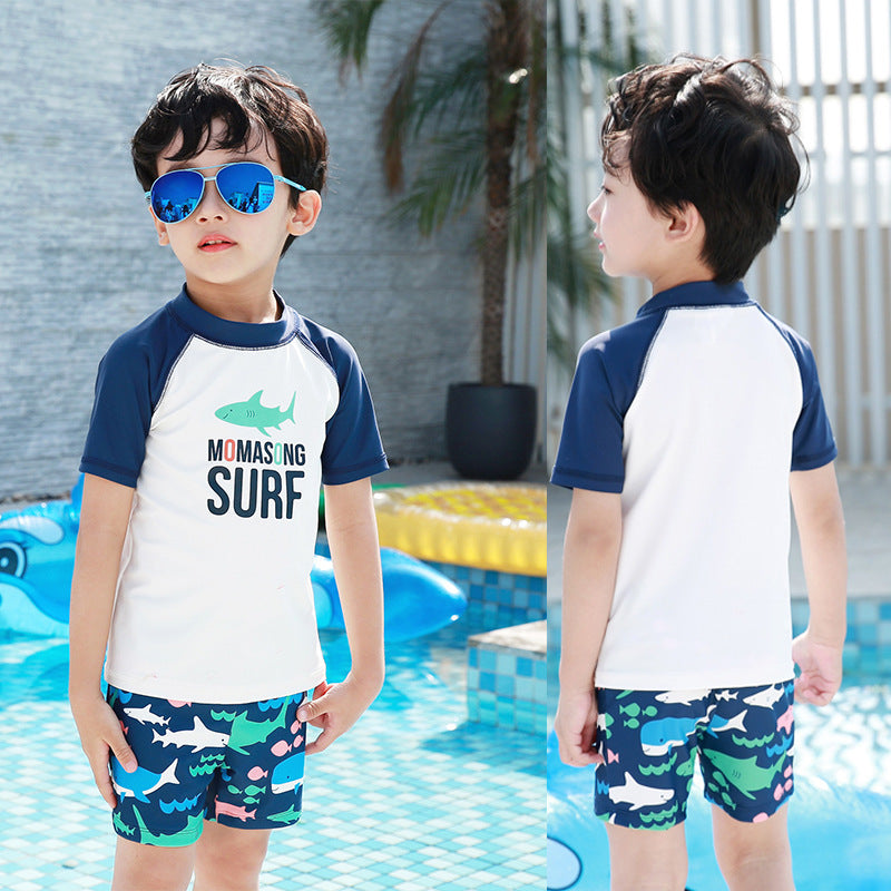 Baby Kid Boys Color-blocking Animals Sports Swimwears Wholesale 22042243