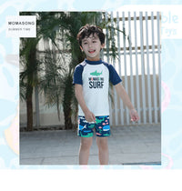 Load image into Gallery viewer, Baby Kid Boys Color-blocking Animals Sports Swimwears Wholesale 22042243
