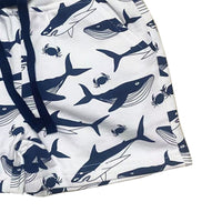 Load image into Gallery viewer, Baby Kid Boys Animals Cartoon Print Shorts Wholesale 220422665
