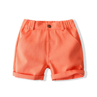 Load image into Gallery viewer, 2 Pieces Set Baby Kid Boys Dinosaur Cartoon Bow Print Shirts And Shorts Wholesale 220425265
