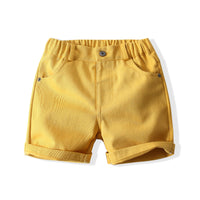 Load image into Gallery viewer, 2 Pieces Set Baby Kid Boys Animals Cartoon Bow Print Shirts And Shorts Wholesale 220425266
