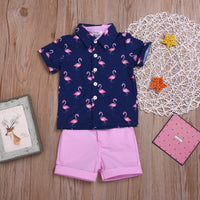 Load image into Gallery viewer, 2 Pieces Set Baby Kid Boys Flamingo Print Shirts And Solid Color Shorts Wholesale 22042581
