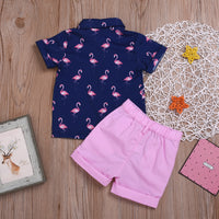 Load image into Gallery viewer, 2 Pieces Set Baby Kid Boys Flamingo Print Shirts And Solid Color Shorts Wholesale 22042581
