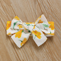 Load image into Gallery viewer, Baby Girls Color-blocking Flower Rompers Wholesale 220510126
