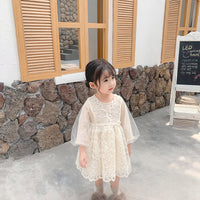 Load image into Gallery viewer, Baby Kid Girls Solid Color Lace Dresses Wholesale 22051062
