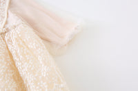 Load image into Gallery viewer, Baby Kid Girls Solid Color Lace Dresses Wholesale 22051062
