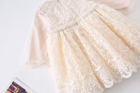 Load image into Gallery viewer, Baby Kid Girls Solid Color Lace Dresses Wholesale 22051062

