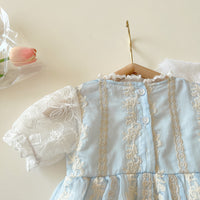 Load image into Gallery viewer, Baby Girls Flower Embroidered Rompers Wholesale 220513149
