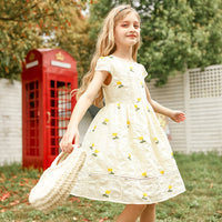 Load image into Gallery viewer, Kid Big Kid Girls Flower Embroidered Dresses Wholesale 22051684
