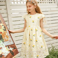 Load image into Gallery viewer, Kid Big Kid Girls Flower Embroidered Dresses Wholesale 22051684
