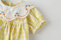 Load image into Gallery viewer, Baby Girls Checked Embroidered Print Rompers Wholesale 22051791
