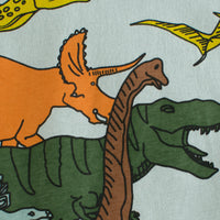 Load image into Gallery viewer, Baby Kid Boys Dinosaur Cartoon Print T-Shirts Wholesale 220518251
