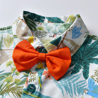 Load image into Gallery viewer, 2 Pieces Set Baby Kid Boys Plant Bow Print Polo Shirts And Shorts Wholesale 22052628
