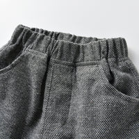 Load image into Gallery viewer, 3 Pieces Set Baby Kid Boys Dressy Birthday Party Solid Color Bow Shirts And Vests Waistcoats And Pants Wholesale 22052687
