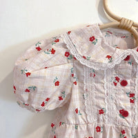 Load image into Gallery viewer, Baby Girls Flower Checked Lace Print Rompers Wholesale 220530281

