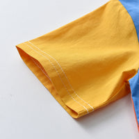 Load image into Gallery viewer, 2 Pieces Set Baby Kid Boys Color-blocking Shirts And Embroidered Pants Wholesale 220531145
