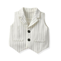 Load image into Gallery viewer, 3 Pieces Set Baby Kid Boys Birthday Party Bow Shirts Striped Vests Waistcoats And Shorts Wholesale 220531244
