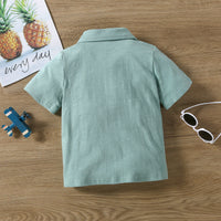 Load image into Gallery viewer, Kid Boys Fruit Embroidered Polo Shirts Wholesale 220531416
