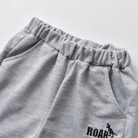 Load image into Gallery viewer, 2 Pieces Set Baby Kid Boys Dinosaur Embroidered Polo Shirts And Pants Wholesale 22053142
