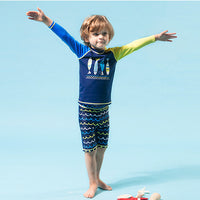 Load image into Gallery viewer, 3 Pieces Set Kid Boys Beach Animals Cartoon Print Tops And Shorts And Hats Swimwears Wholesale 22060625
