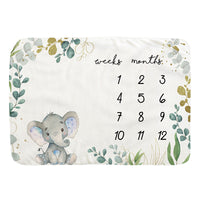 Load image into Gallery viewer, Unisex Letters Animals Cartoon Accessories Blankets Wholesale 220606251
