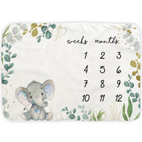 Load image into Gallery viewer, Unisex Letters Animals Cartoon Accessories Blankets Wholesale 220606251
