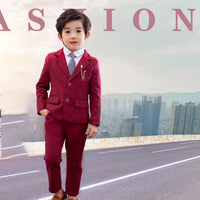 Load image into Gallery viewer, 2 Pieces Set Baby Kid Boys Dressy Birthday Party Solid Color Jackets Outwears And Pants Wholesale 22061312
